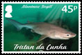 Sharks, 45p, Bluntnose Sixgilled Shark