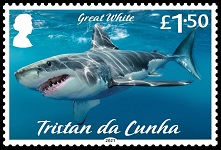 Sharks, £1.50, Great White Shark
