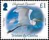 Vagrant Species Part 3, £1, Great Egret