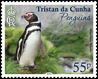 Penguins, 55p - Magellanic Penguin