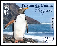 Penguins, £2.10p - Gentoo Penguin