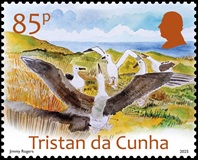 Artist Jimmy Rogers, 85p - Albatross at The Ponds, Nightingale Island