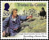 Recording a Brown Skua
