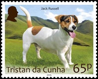 Dogs Part 1, 65p - Jack Russell Dogs Part 1, 65p - Jack Russell