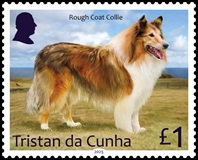 Dogs Part 1, £1.00 - Rough Coat Collie Dogs Part 1, £1.00 - Rough Coat Collie
