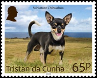 Dogs Part 2, 65p - Miniature Chihuahua