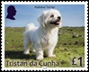 Dogs Part 2, £1.00 - Maltese Terrier Dogs Part 2, £1.00 - Maltese Terrier
