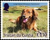 Dogs Part 2, £1.10 - Long Haired Miniature Dachshund Dogs Part 2, £1.10 - Long Haired Miniature Dachshund