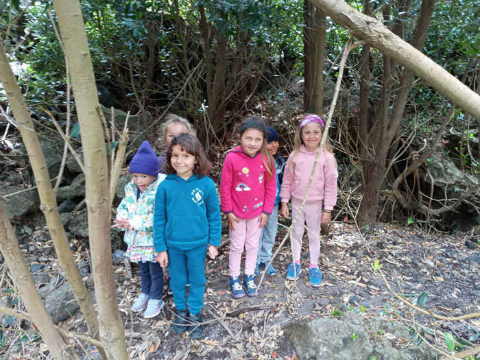 Playschool collecting pine cones