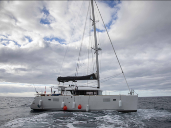 The catamaran Maitai