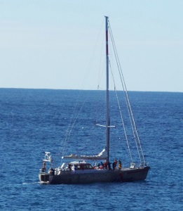 Yacht Pelagic Australis