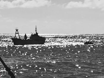 MFV Edinburgh offloading in April 2024