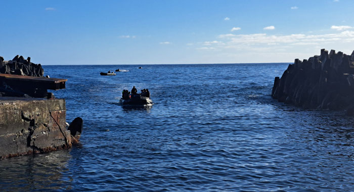 Zodiacs entering the harbour