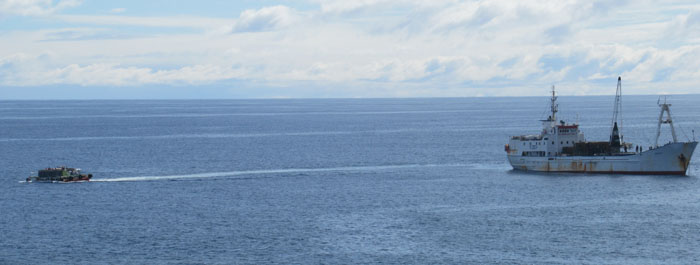 The raft ferrying passengers and cargo from ship to shore