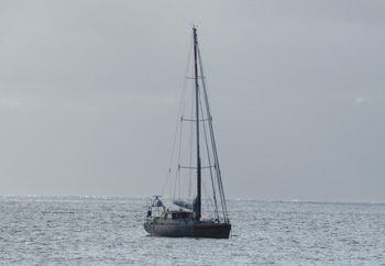 Yacht Pelagic Australis off Tristan da Cunha 2019