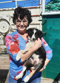 Nurse Kumi Joubert with one of the new dogs on the MFV Edinburgh