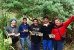 Conservation Department staff with seedlings for re-establishing Phylica woodland on Nightingale Island