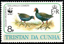 Gough Morrhen, 8p stamp